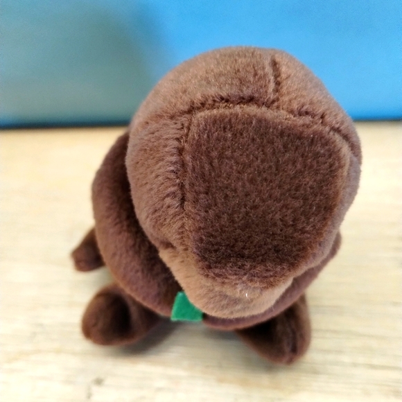 ✓Ty Beanie Baby Seaweed the Otter, 1996, Rare, Retired - Picture 8 of 13
